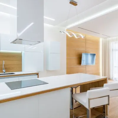 DLF Downtown Taramani Phase 2, Chennai - photo 3