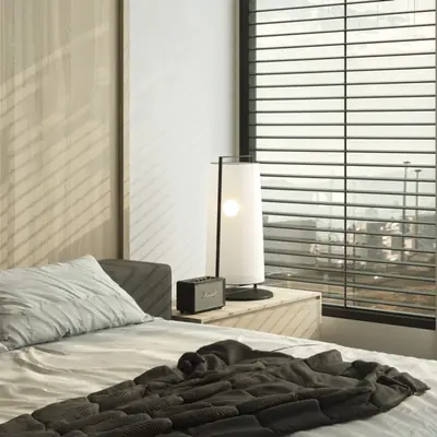 DLF New Indore Project - photo 3